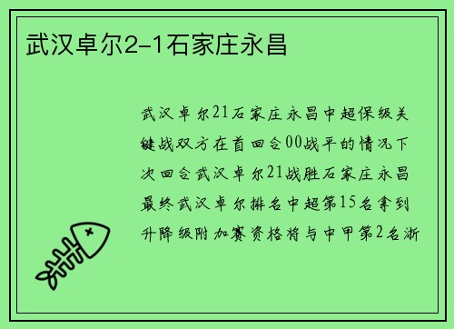武汉卓尔2-1石家庄永昌